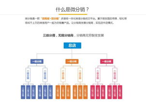 北京软件开发 双轨三三制直销系统定制全解析