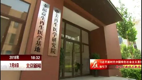 北京企业引领风潮 AI助理赋能可再生医学材料软件开发
